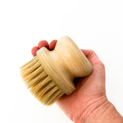 Body Brush