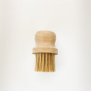 Facial Brush