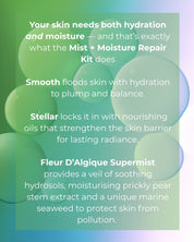 Mist and Moisture Repair Kit